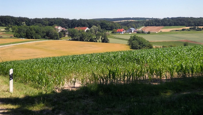 According to the IPCC, farming has been the driver of 75% of deforestation by area size to date. Stock image of a farm in Bavaria
